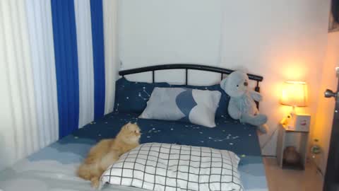 Kylie online show from February 7, 7:29 am