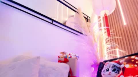 Ari  online show from December 19, 1:27 pm