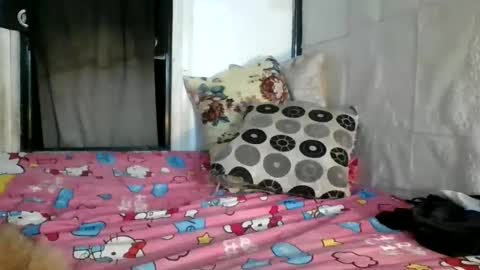 asianladyboy888 online show from February 27, 6:31 pm