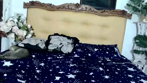 asianladyboy888 online show from November 2, 6:17 pm