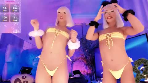 bichforever online show from March 3, 4:51 pm