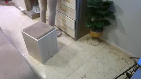 Deffa online show from February 23, 5:45 am