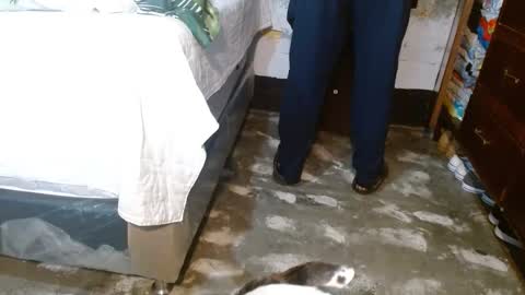 dreamreal online show from February 10, 12:12 pm