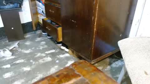 dreamreal online show from March 11, 11:25 am