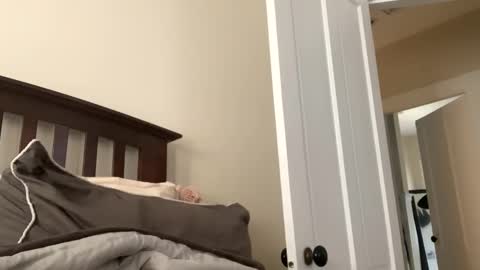 Dynasty online show from January 19, 3:42 pm