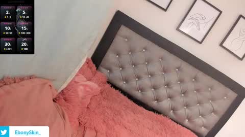 Snapshot of ebonyskinn chatting on February 12, 9:11 pm ebonyskinn online show from February 12, 9:11 pm