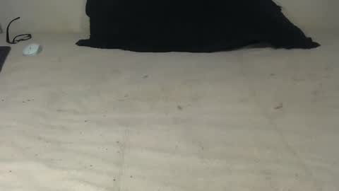 elgsslt online show from October 20, 10:51 am