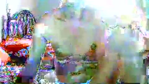 CHUN LY online show from September 30, 12:05 pm