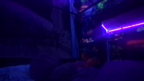 fairy_moan online show from December 6, 11:50 am