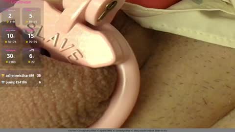 Meadow online show from March 21, 3:39 pm