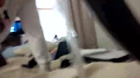 gabbybaby88 online show from February 23, 10:07 am