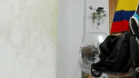 Snapshot of galactica_7 chatting on September 13, 11:27 am galactica_7 online show from September 13, 11:27 am