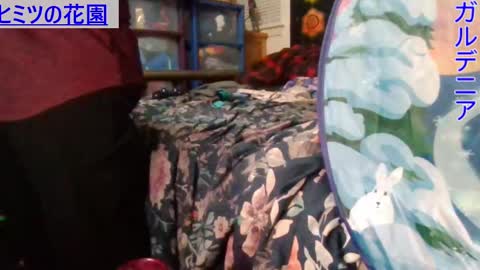 Snapshot of gardeniaspear chatting on January 9, 7:21 am Gardenia online show from January 9, 7:21 am