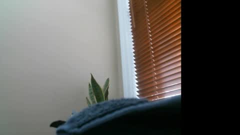 Lisa online show from December 27, 7:14 pm