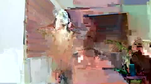 JENNIFER online show from January 10, 12:00 pm