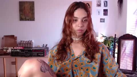 Snapshot of golden_alaska chatting on February 20, 9:53 pm Alaska online show from February 20, 9:53 pm
