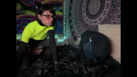 kittyland online show from September 8, 7:12 pm