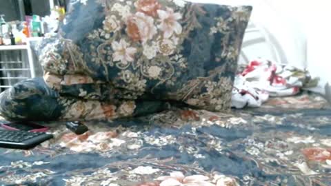 iam_mistress_dominatrix online show from February 22, 1:57 pm