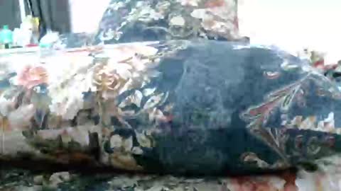 iam_mistress_dominatrix online show from February 26, 12:49 am