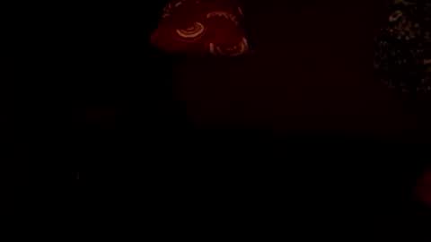 MADAM  MISTRESS ASIANA online show from January 16, 10:24 am