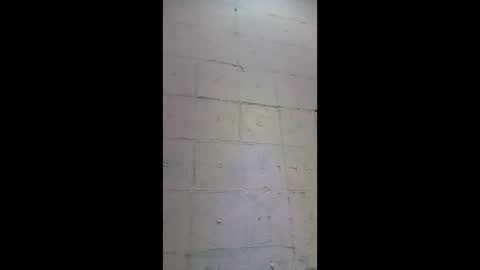 Irenika online show from February 6, 7:14 am