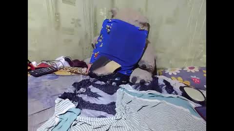 jaysonata215 online show from March 5, 7:00 pm