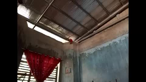 Katarena Latsveya online show from March 2, 5:08 am