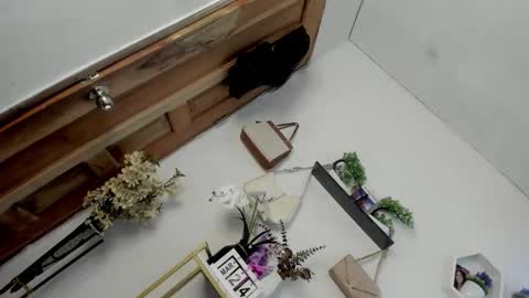 Janelovesu online show from March 24, 10:20 am