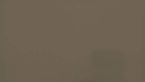 Melody online show from November 16, 9:08 am