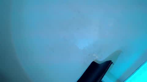 Serena online show from February 8, 8:31 am