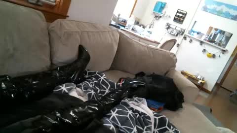 Pantyhoselover online show from December 30, 10:23 pm