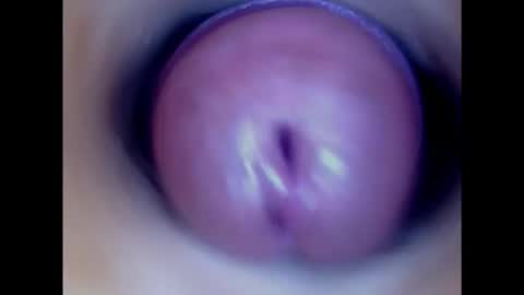 Snapshot of paulainoscente chatting on January 15, 1:20 pm Paula 18 Aninhos online show from January 15, 1:20 pm