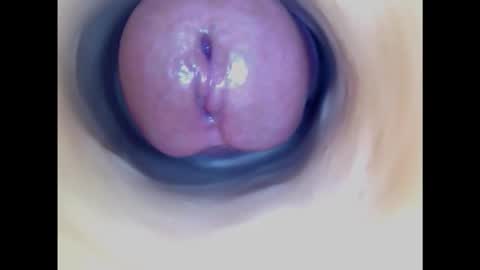Snapshot of paulainoscente chatting on January 23, 1:45 pm Paula 18 Aninhos online show from January 23, 1:45 pm