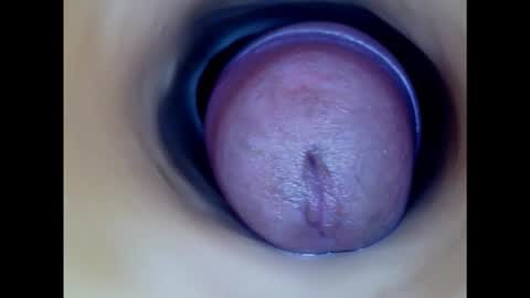 Snapshot of paulainoscente chatting on January 31, 9:37 pm Paula 18 Aninhos online show from January 31, 9:37 pm