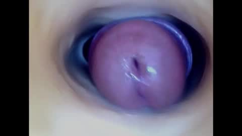 Snapshot of paulainoscente chatting on February 1, 2:34 pm Paula 18 Aninhos online show from February 1, 2:34 pm