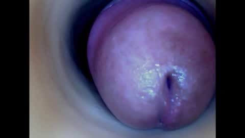 Snapshot of paulainoscente chatting on February 8, 5:39 pm Paula 18 Aninhos online show from February 8, 5:39 pm