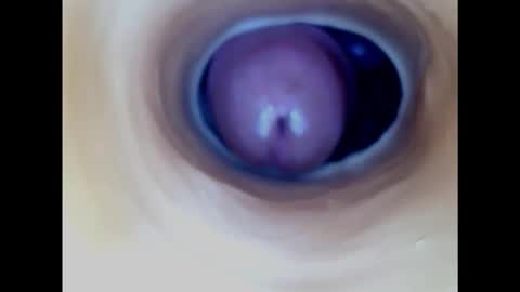 Snapshot of paulainoscente chatting on February 14, 4:52 pm Paula 18 Aninhos online show from February 14, 4:52 pm