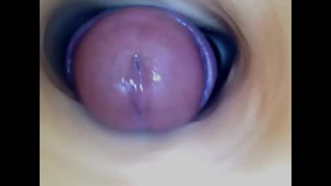 Snapshot of paulainoscente chatting on February 26, 2:37 am Paula 18 Aninhos online show from February 26, 2:37 am