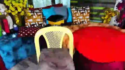 Snapshot of phcumdelight chatting on February 16, 5:37 pm phcumdelight online show from February 16, 5:37 pm