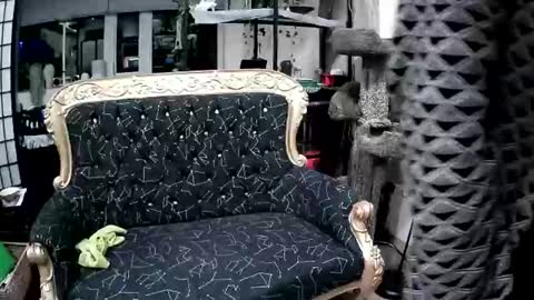 Rey online show from February 18, 9:06 am