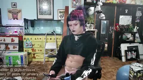 Snapshot of queer_burrito chatting on December 28, 12:57 am Sky Burrito online show from December 28, 12:57 am