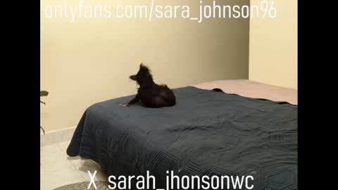 Snapshot of sara_johnson__ chatting on February 8, 3:21 pm sara_johnson__ online show from February 8, 3:21 pm