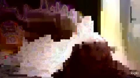 Snapshot of sasha_hale_ chatting on February 17, 9:56 am My name is Sasha I will be glad if you spend your time with me 3 you can DM me if you need me online show from February 17, 9:56 am