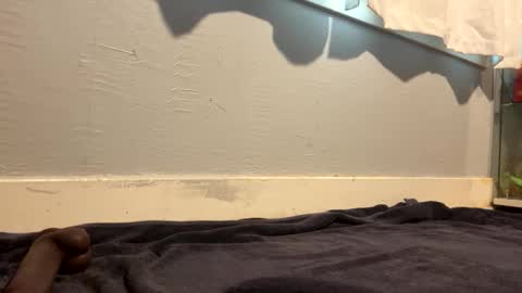 camilcamilla sheher online show from October 4, 5:47 pm