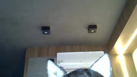 skinnykittencam online show from September 30, 9:20 am