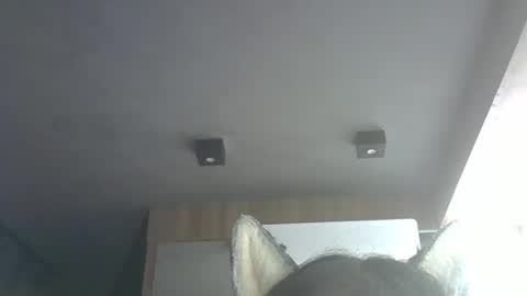 skinnykittencam online show from March 8, 6:00 pm