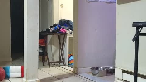 Submissive Slut LOVES adoration online show from January 29, 12:45 pm