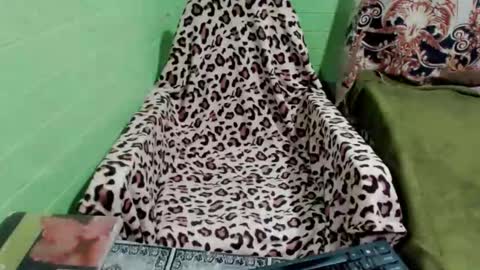 trans_janica online show from December 19, 3:34 am