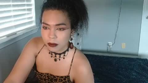 transkai online show from August 1, 7:04 pm