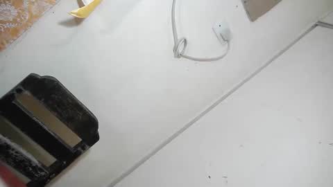 Alvie online show from February 26, 4:01 pm